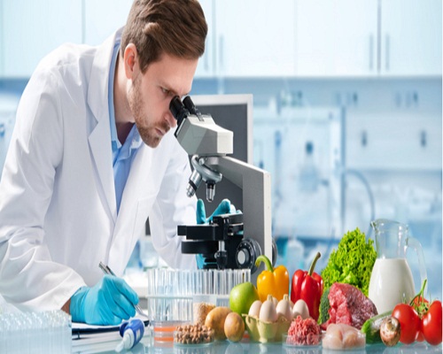 B.Sc Food Technology